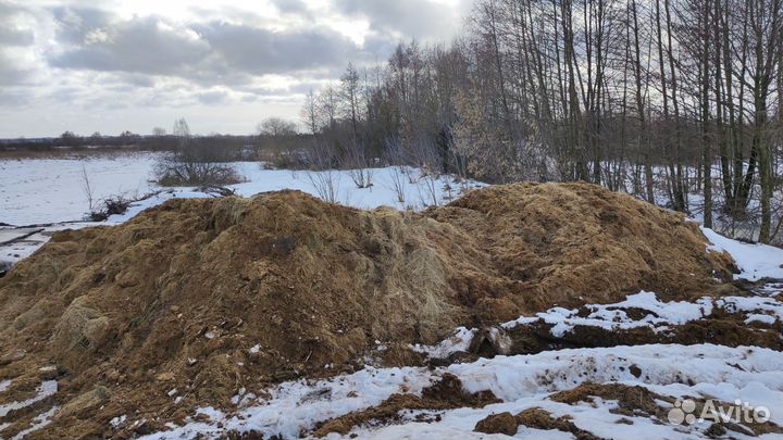 Конский навоз бесплатно