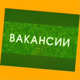 Грузчик на склад Еженедельные выпалты