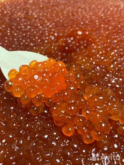Икра красная