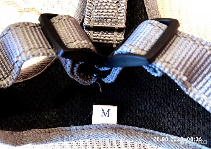 Ошейник, шлейка и намордник новые