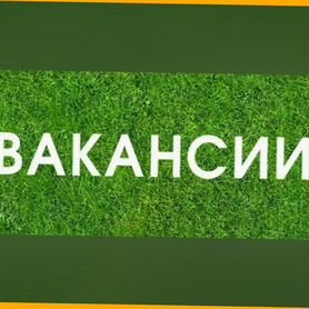 Подсобный рабочий Вахта Жилье Питание Аванс еженедельно