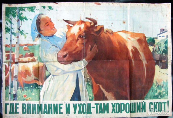 Продам коров