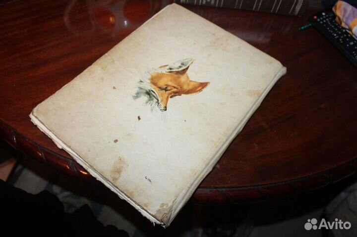 Приключения пиноккио 