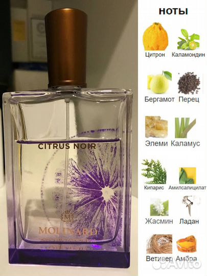 Molinard Citrus Noir