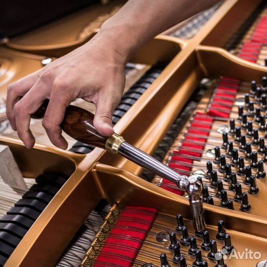 Настройка пианино и роялей по Твери и области