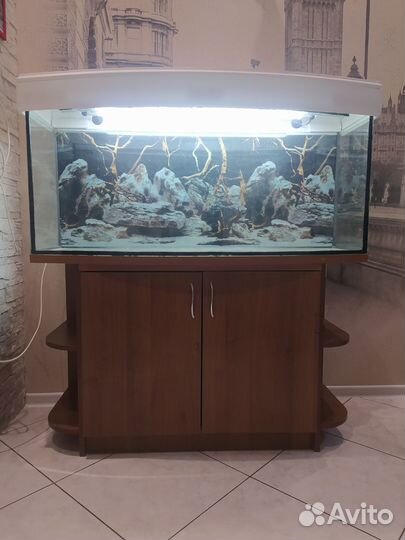 Панорамный аквариум 200 литров