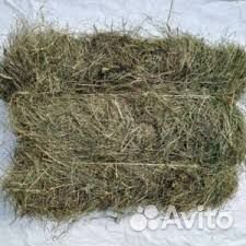 Сено в тюках