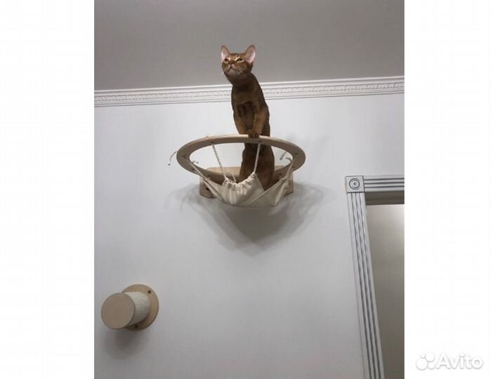 Комплекс для кошки