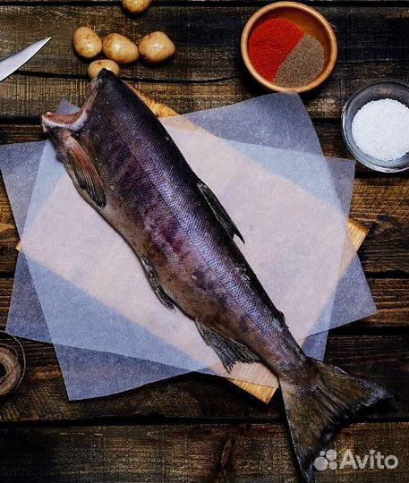 Кета пбг 2023г