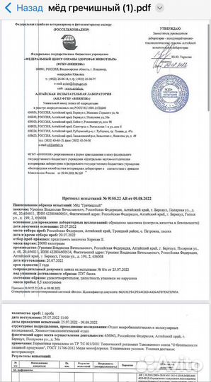 Мед свежий оптом гречишный