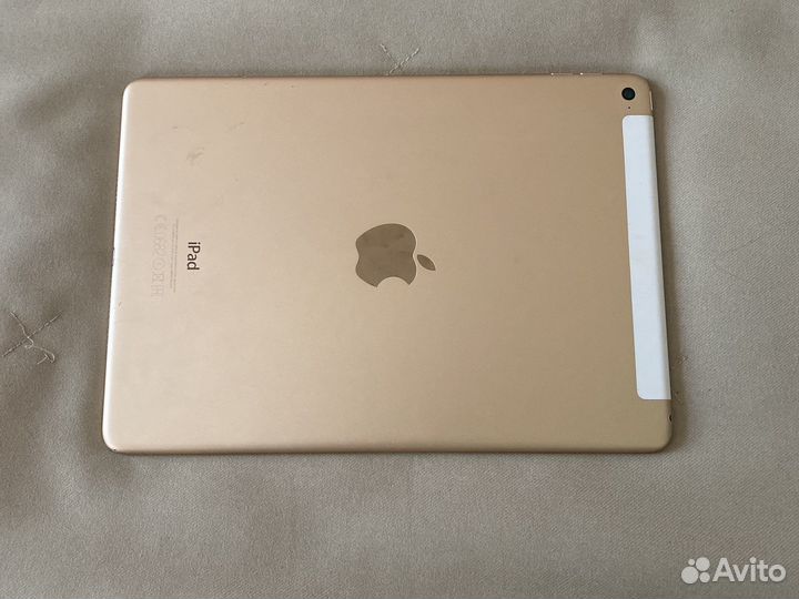 iPad
