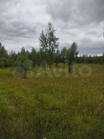 Участок 11,4 га (СНТ, ДНП)