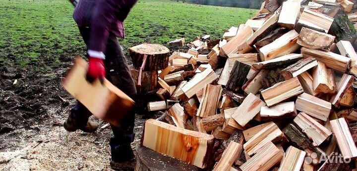 Дрова с Приморска