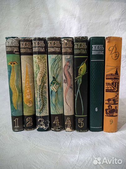 Энциклопедия Жизнь животных Зарубежные страны СССР