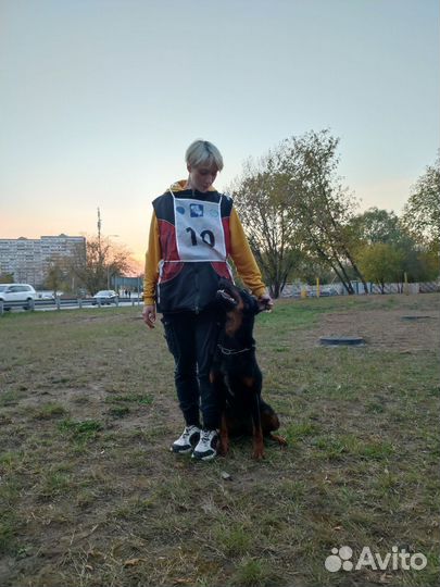 Услуги кинолога