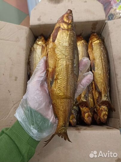 Сиг г/к, х/к, вяленый, с/м шт