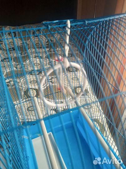 Клетка для попугая