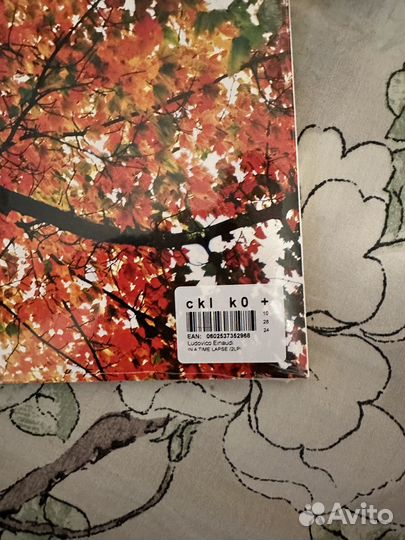 Пластинка Ludovico Einaudi In A Time Lapse 2LP
