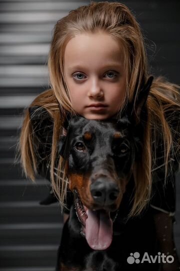 Фотосессия с доберманом