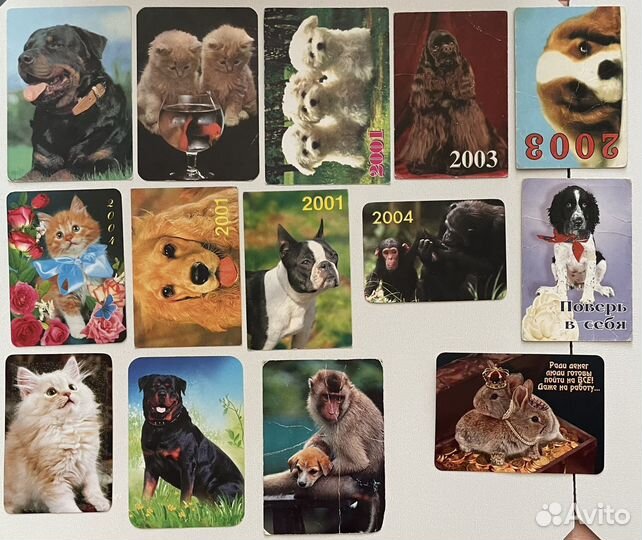 Календари: фауна, природа, цветы, мульты, гороскоп