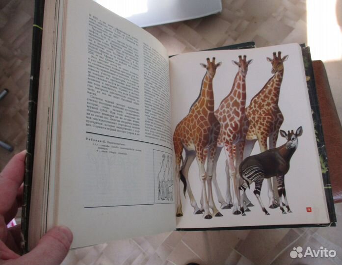 Жизнь животных в 6 томах (7 книг) - СССР