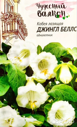 Кобея