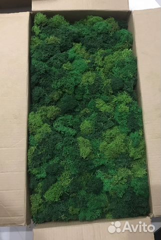 Мох, обрезки