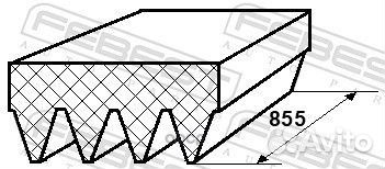 Ремень поликлиновой 4 клина 881264L855 Febest