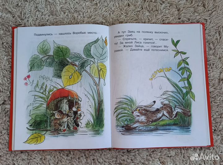 Книга для детей