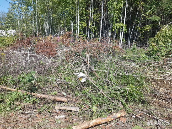 Услуги щепореза