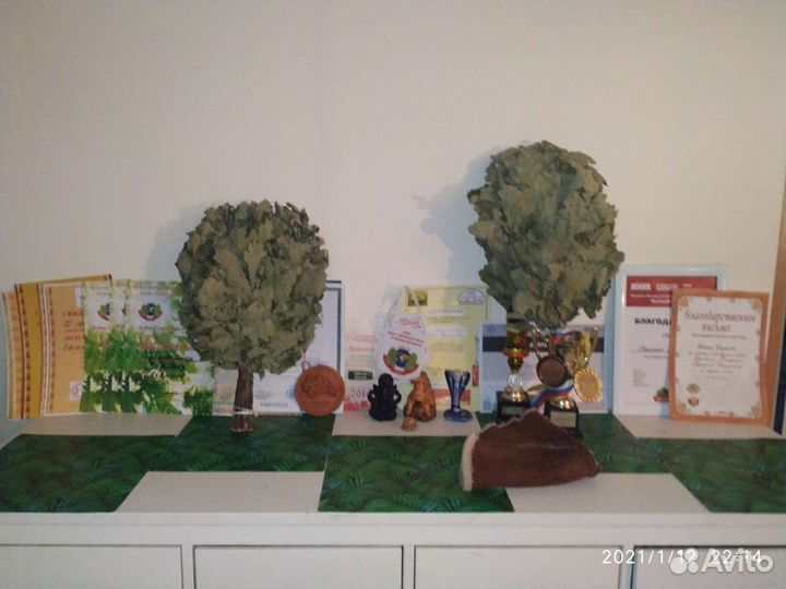 Пармастер, банщик, спа