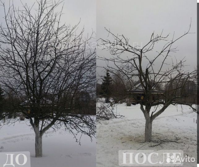 Покос травы триммером