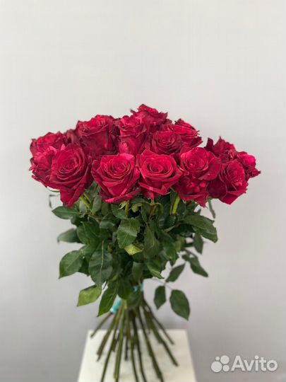 Розы Эквадор