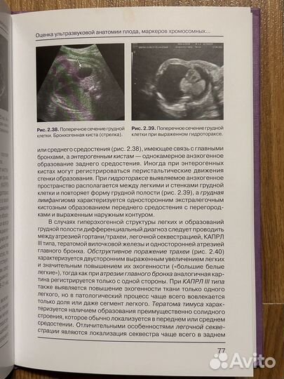 Основы ультразвукового скрининга Медведев