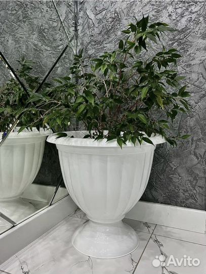 Кашпо горшки вазоны