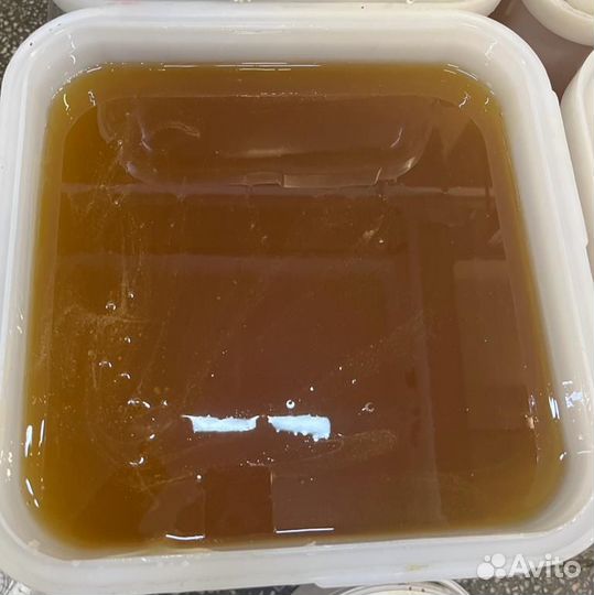 Липовый свежий натуральный мёд Оптом