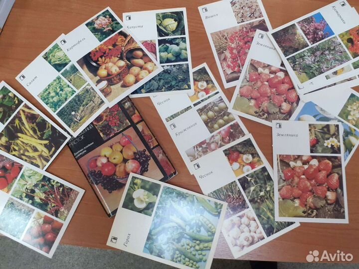 Набор открыток СССР