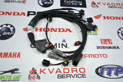 Проводка BRP Can-Am 420464335