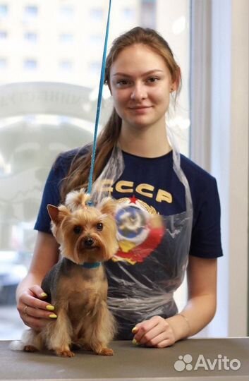 Стрижка собак - Груминг