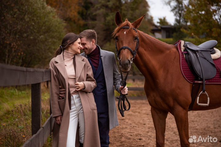 Фотосессия с лошадьми. все включено