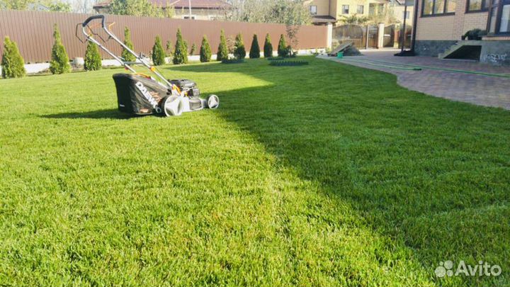 Газон Рулонный (Городской \Элит \Спортивный)