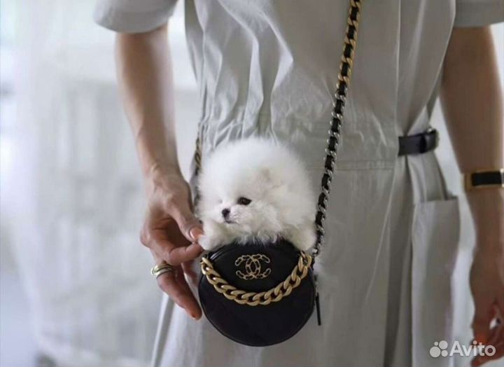 Красотулички