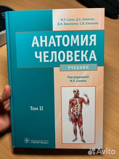 Учебник по анатомии Сапин 2 том (медицина)