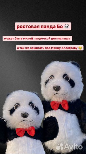 Аниматор / Детские праздники