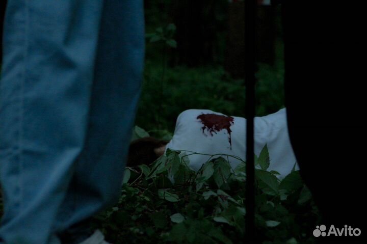 Фотограф по Смоленску и Смоленской области