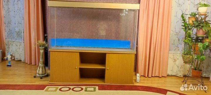 Аквариумные рыбки 1000 литров