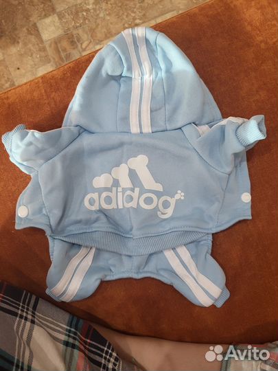 Костюмчик для собачки