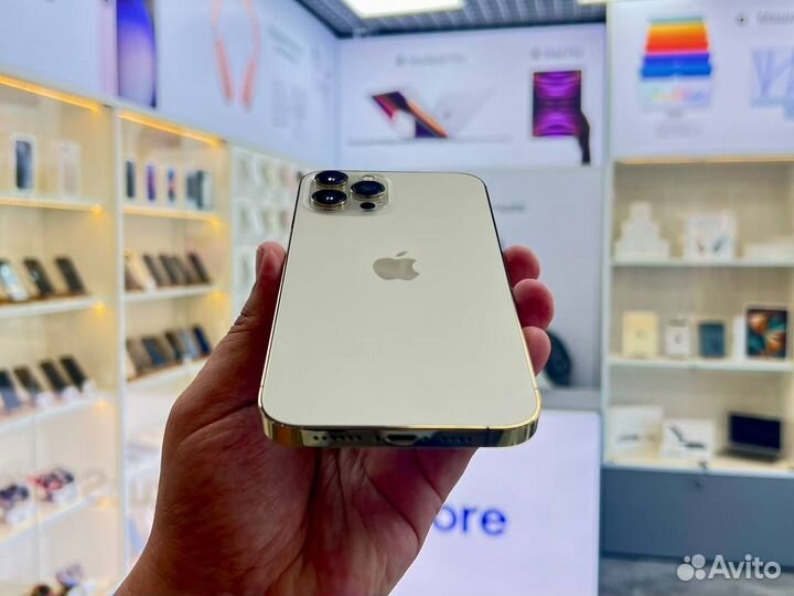 iPhone 12 Pro Max, 256 ГБ