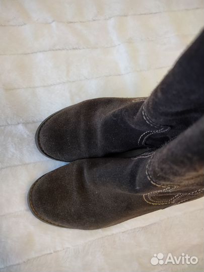 Сапоги женские натуральная замша