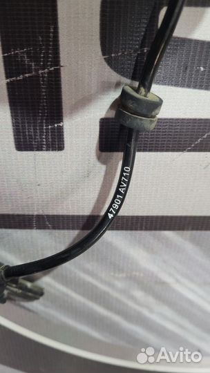 Датчик abs абс задний Nissan primera P12 Лев